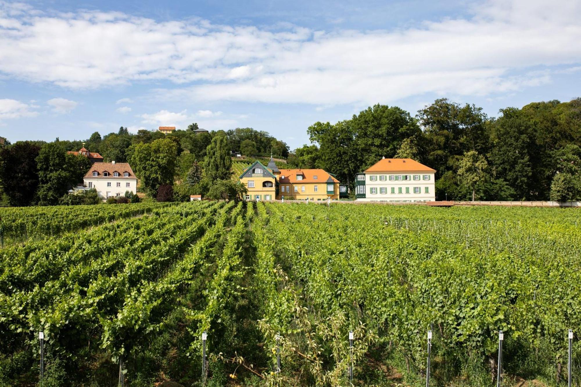 라데보일 Weingut Haus Steinbach 빌라 외부 사진